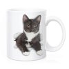 Primgi 11oz Ceramic Black and White Cat Design Coffee Mug