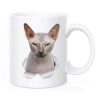 Primgi 11oz Ceramic Brown Cat Design Coffee Mug